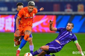 赛后德甲焦点战，上海申花止住颓势，悬念犹存，训练强度明显提升的简单介绍